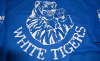 textildruck-white-tigers